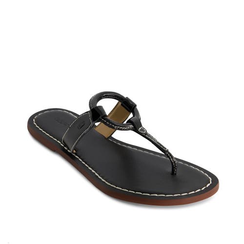 Bernardo Footwear Matrix 2 Thong Sandal In Black Patent