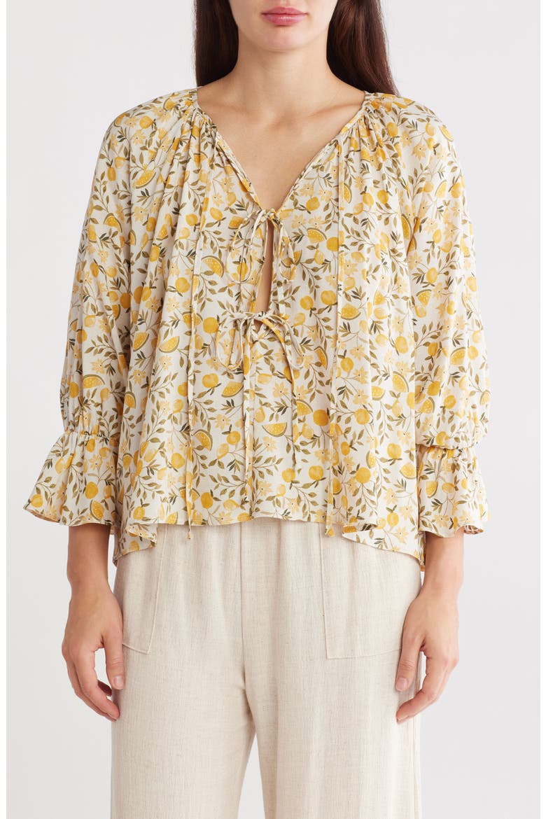 Lemon Print Tie Front Long Sleeve Top, Main, color, TAUPE