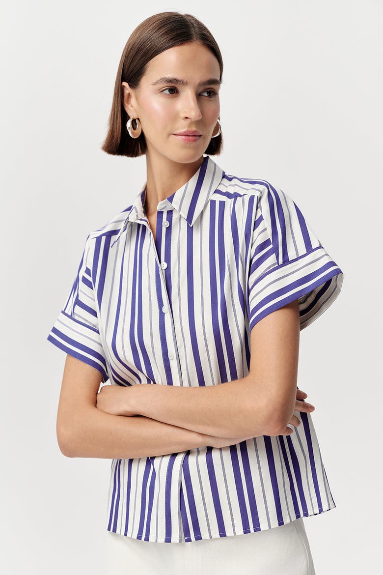 Alsatia Dropped Short Sleeve Striped Shirt, Alternate, color, Blue