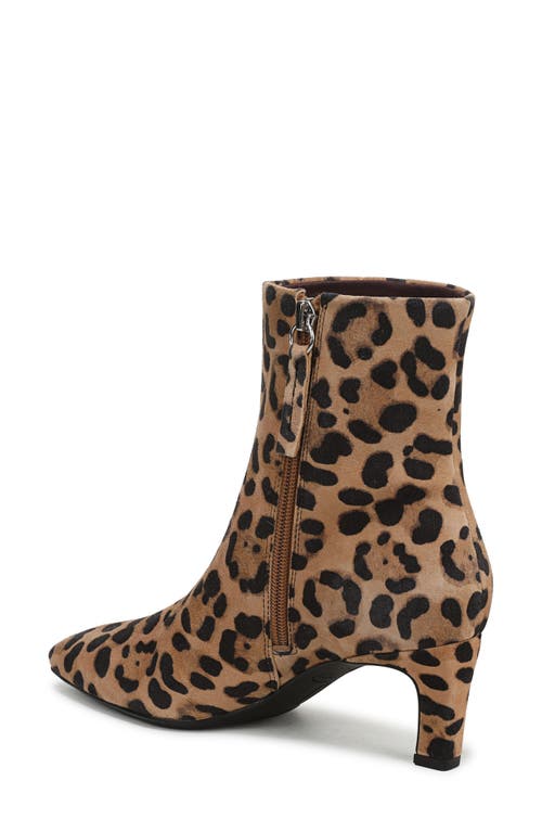 Franco Sarto Tavisha Square Toe Bootie In Brown
