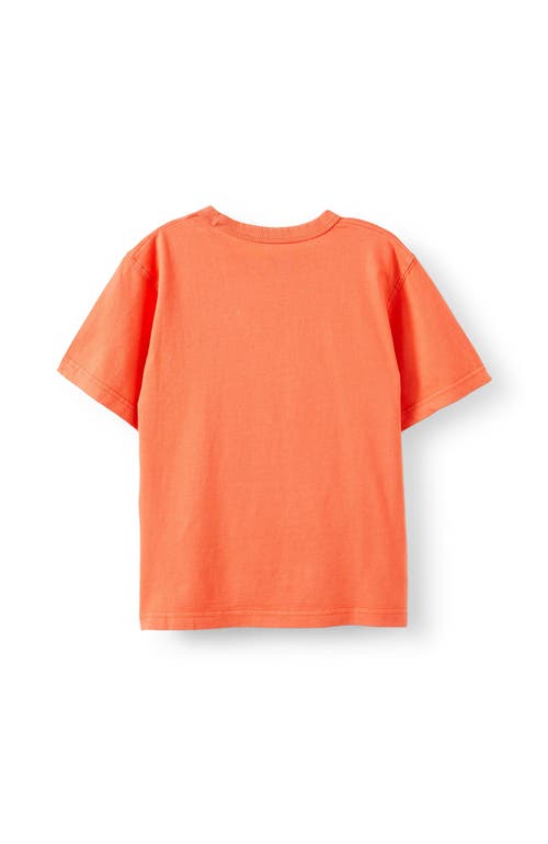 Cotton On Kids Kid's Jonny Short Sleeve Graphic Print Tee In Orange