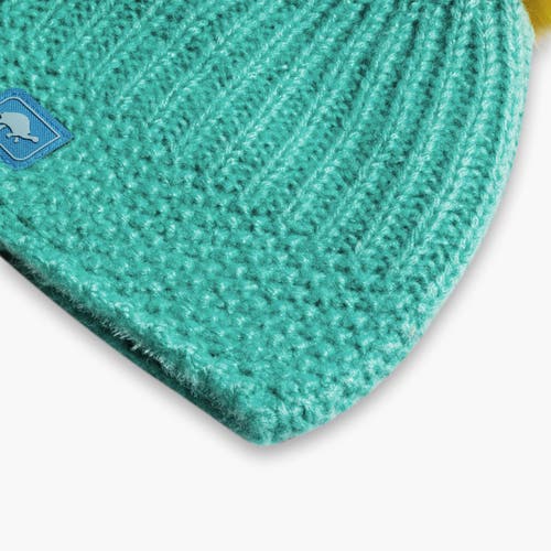 Turtle Fur Kids Suzie Pom Winter Hat In Green