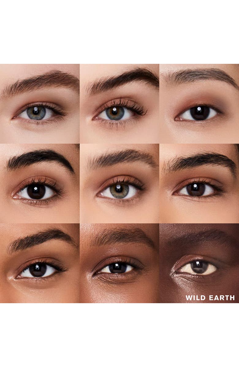 Estée Lauder Pure Color Envy Luxe Refillable Eyeshadow Quad, Alternate, color, Wild Earth