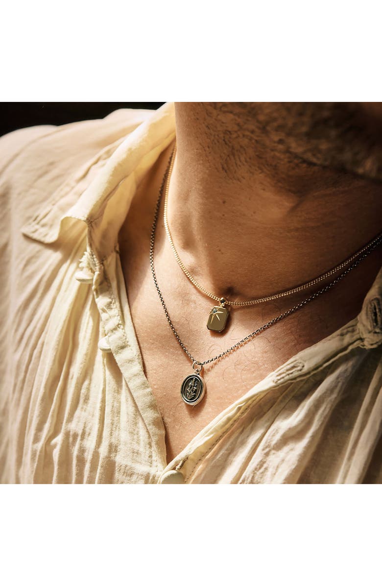 Serge DeNimes Guardian Necklace, Alternate, color,