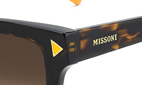 Shop Missoni 53mm Cat Eye Sunglasses In Havana/brown