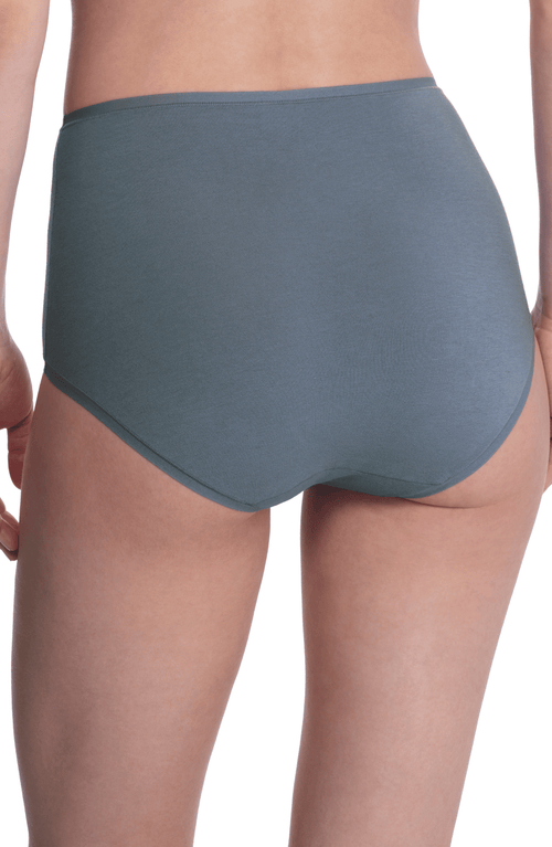 Natori Bliss Bare Cotton High Waist Brief In Gray