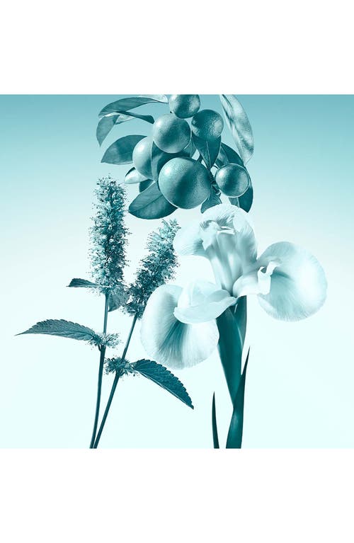 Tiffany & Co . Tiffany Eau De Parfum Gift Set $228 Value In Transparent