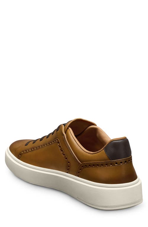Allen Edmonds Oliver Brogue Sneaker In Walnut