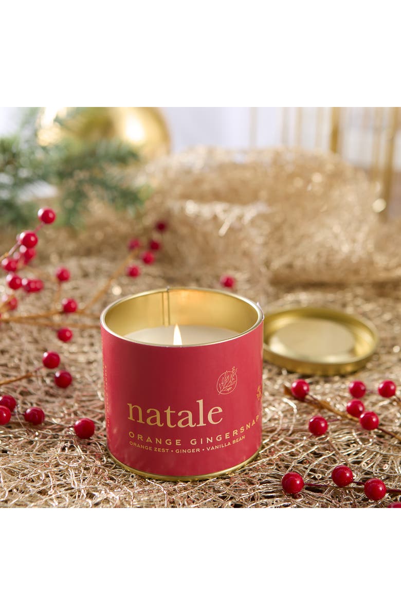 VIA MERCATO Natale Orange Gingersnap Candle, Alternate, color, Red