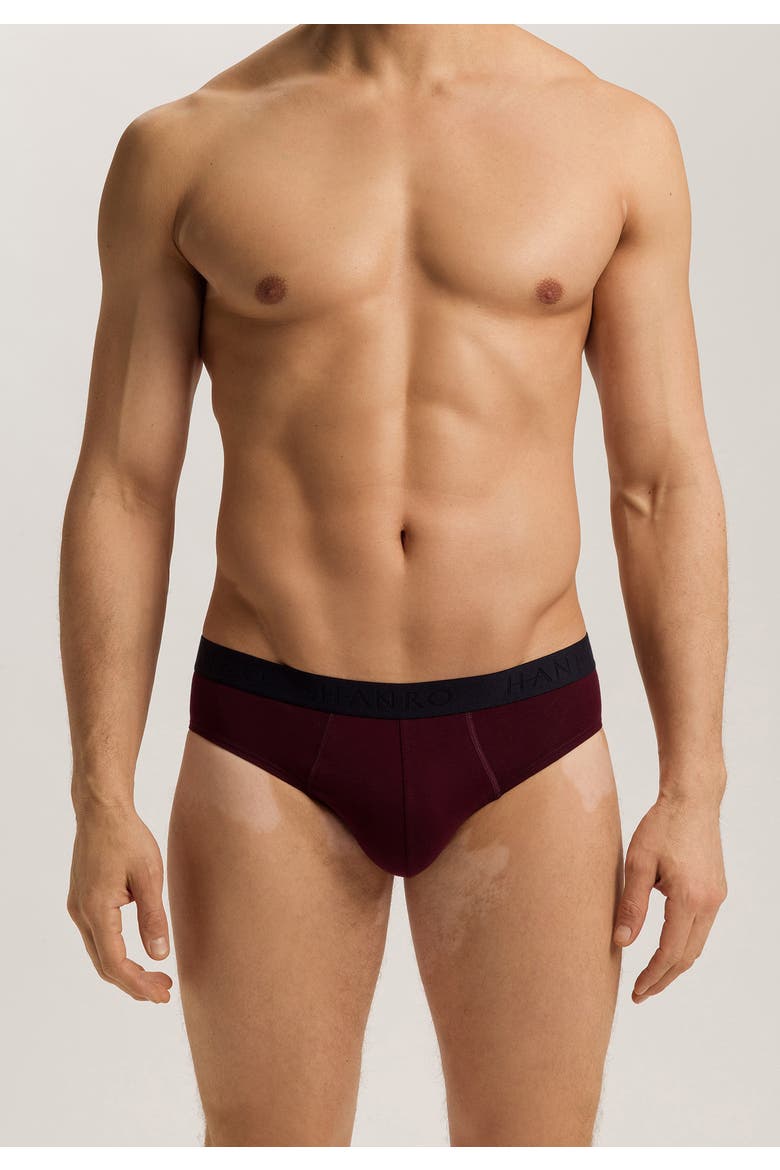 Cotton Essentials 2-Pack Cotton Briefs, Alternate, color, Barolo / Ombre Blue