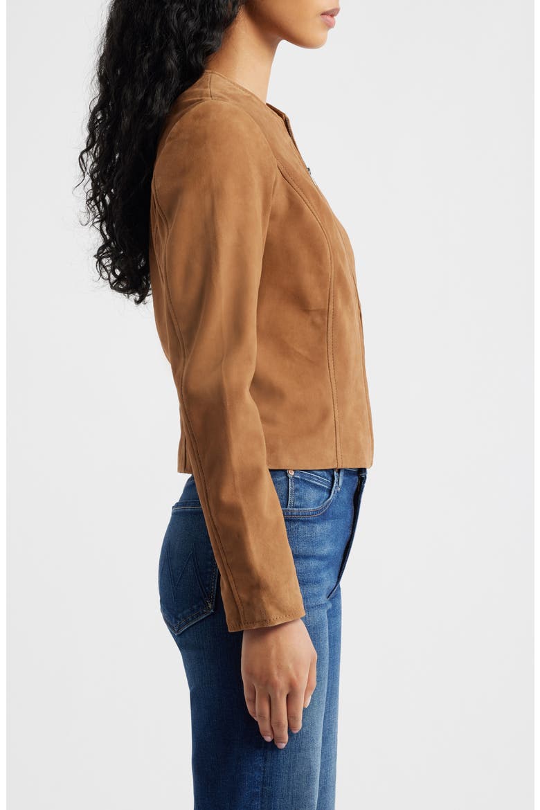Quynn Suede Jacket, Alternate, color, DARK CAMEL