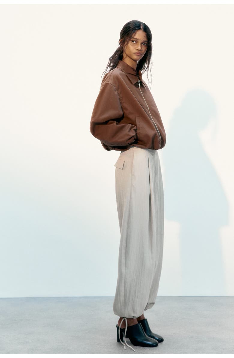 H&M Blouson Jacket, Alternate, color, Dark Brown