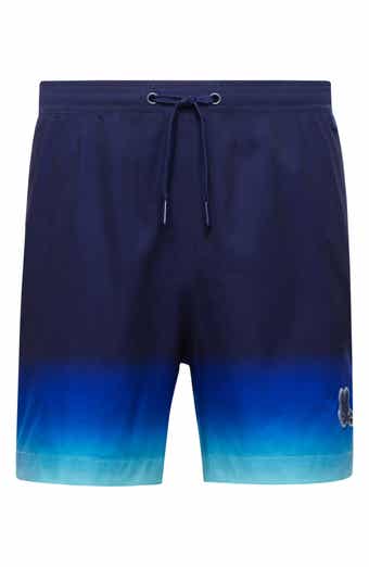 Kids' Dax Ombré Swim Trunks