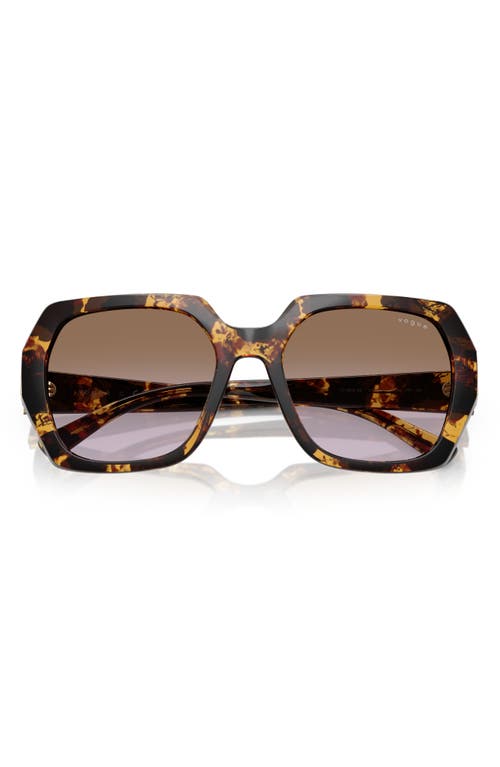 Vogue 55mm Irregular Sunglasses In Blond Havana