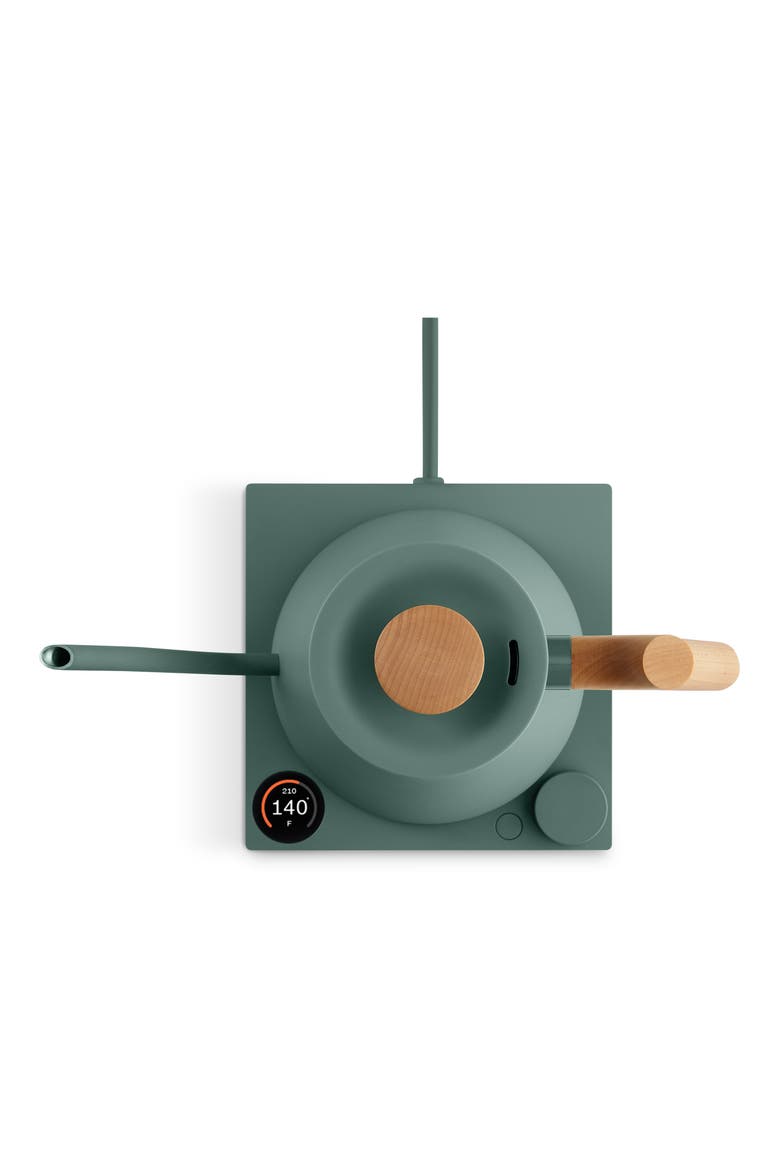 Stagg EKG Pro Electric Kettle, Alternate, color, SMOKE GREEN MAPLE