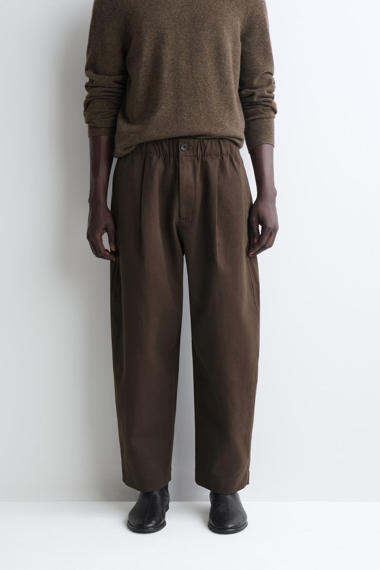 Pleated Relaxed-Fit Barrel-Leg Pants, Alternate, color, BROWN