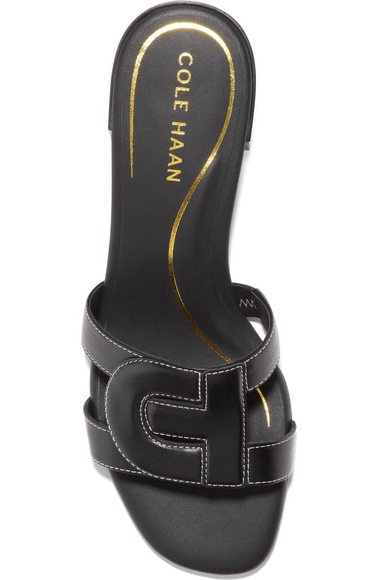 Cole Haan Chrisee Block Heel Slide Sandal, Alternate, color,