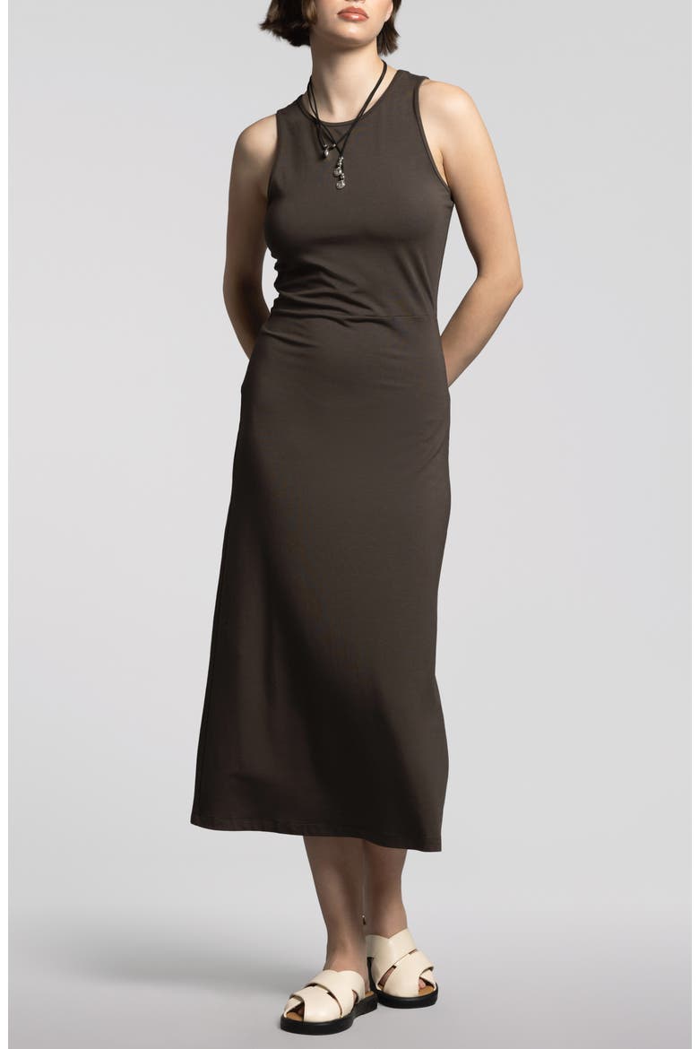 Lili Sleeveless Dress, Main, color, BLACK BROWN