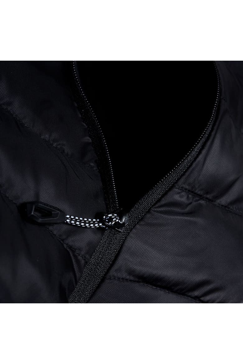 Albula In Hooded Jacket - Men's, Alternate, color, Black