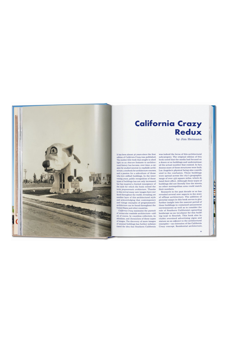 California American Pop Architecture 45th Edition Book, Alternate, color, Light Blue
