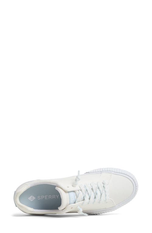 Sperry Bermuda Ltt Sneaker