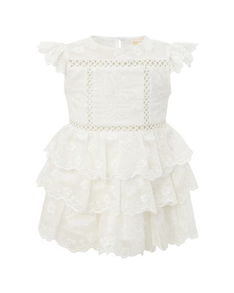 Alisha Frill Embroidered Mini Dress