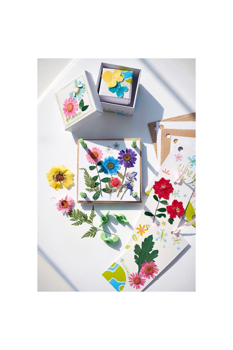 Green Creativity Pressed Flower Art Diy, Alternate, color, Multicolored