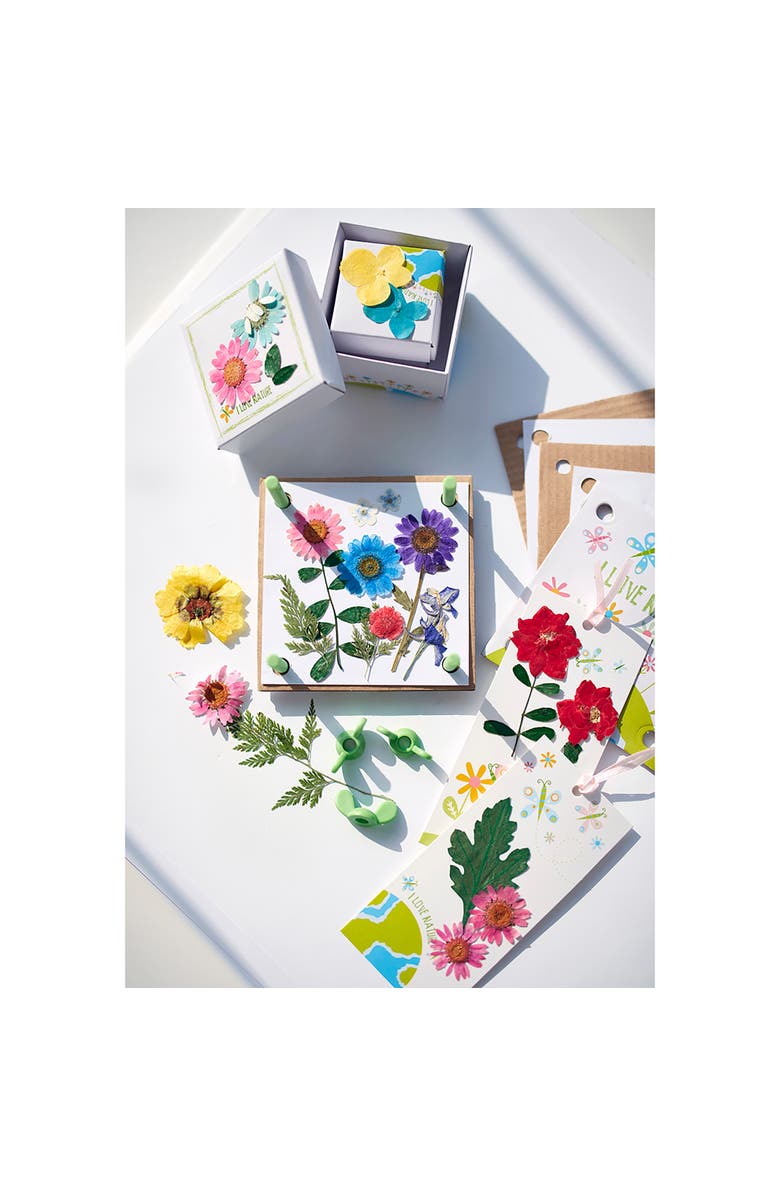 4M Green Creativity Pressed Flower Art Diy, Alternate, color, Multicolored