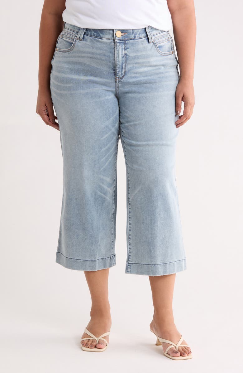 Democracy Wide Leg Crop Jeans, Main, color, Light Blue