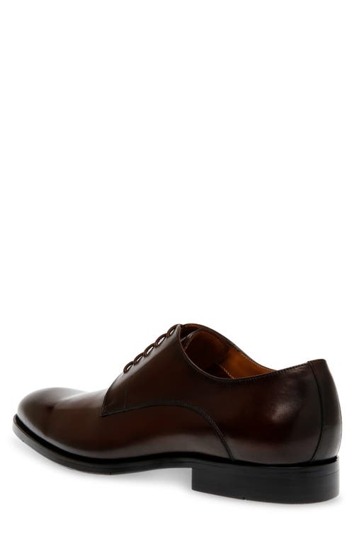 Steve Madden Daedric Derby In Brown