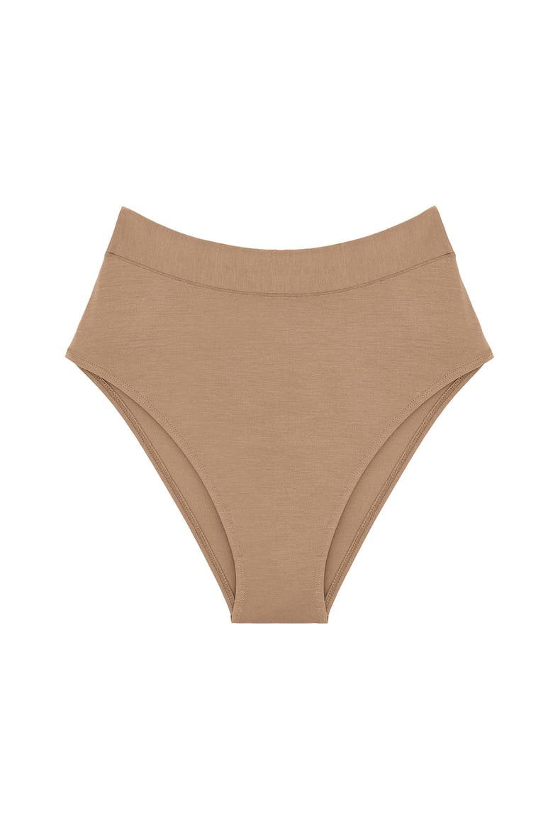 The Highwaist High Cut Modal Briefs, Alternate, color, TAUPE