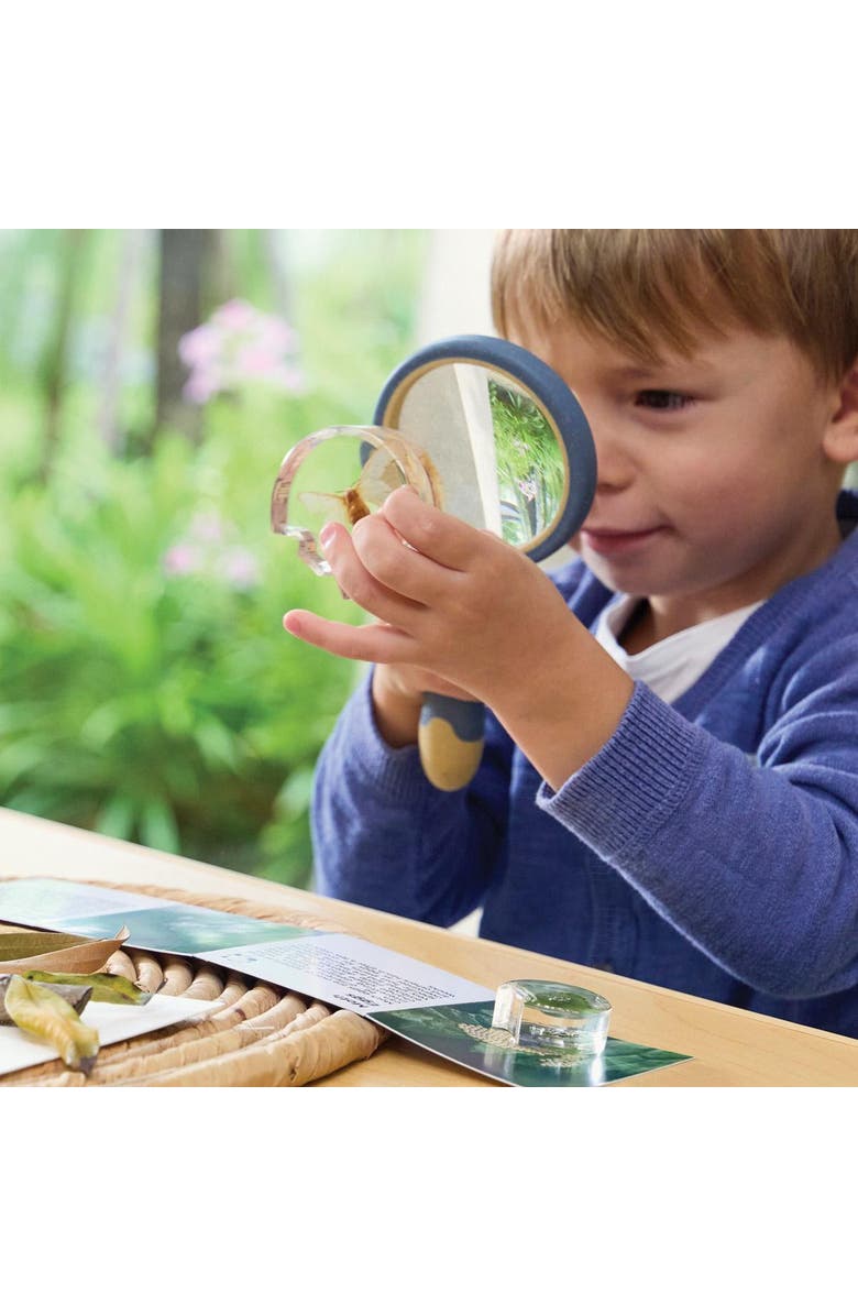 Kaplan Early Learning Company Specimen Life Cycle Puzzles Moth, Alternate, color, Multicolored