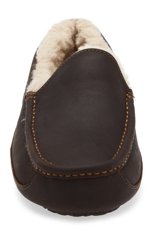 Ugg(r) Ascot Slipper In Brown