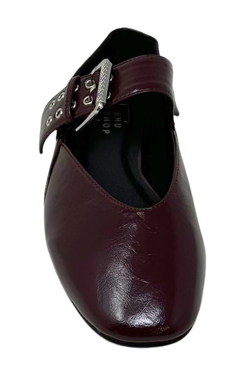 Shushop Buckle Flat In Burgundy
