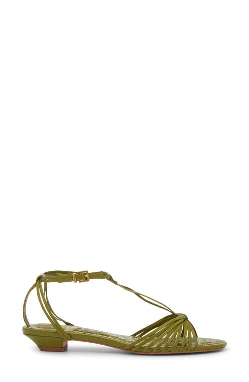 Vince Camuto Maura Ankle Strap Sandal In Green