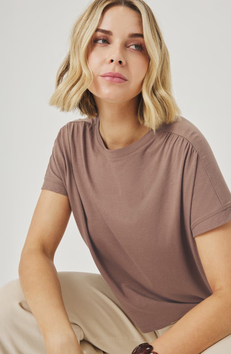 Splendid Rebecca Shirred Sleeve Cotton Blend T-Shirt, Alternate, color, Wicker Brown