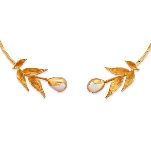 Dhwani Bhansal Reva Choker In Gold Plated