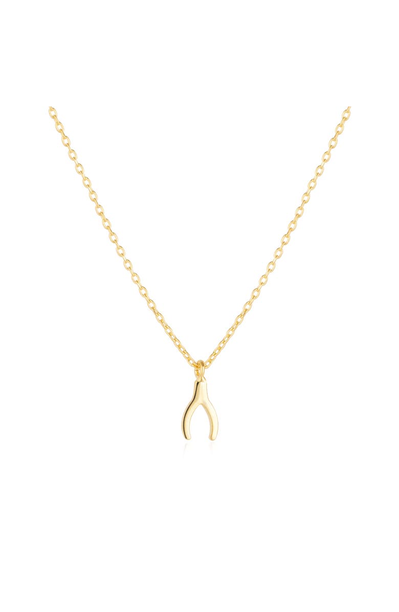 Spero London Sterling Silver Mini Wishbone Necklace, Main, color, Gold