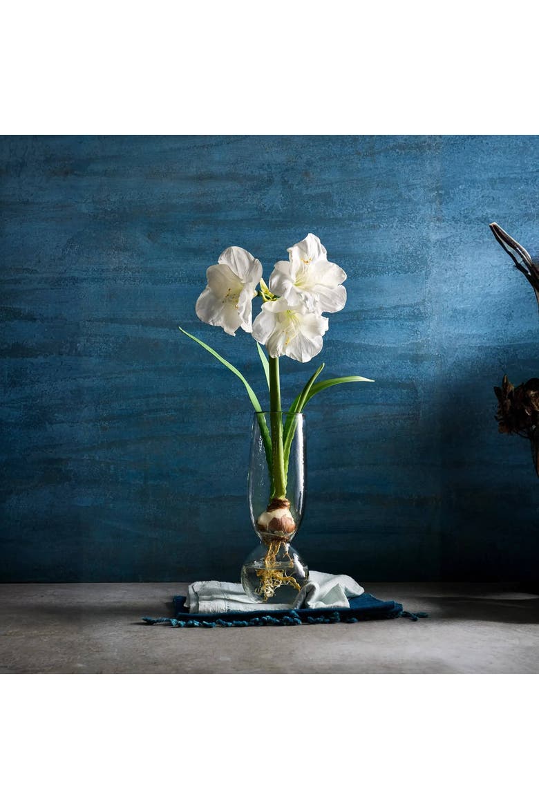 Pebbled Bulb Vase, Main, color, Clear