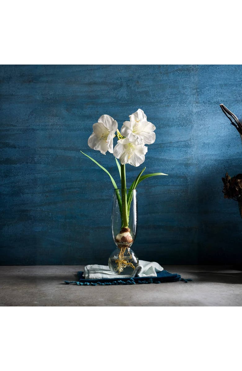 The Collective Pebbled Bulb Vase, Main, color, Clear