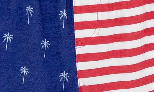 Feather 4 Arrow Kids' Palm Stripe Volley Swim Trunks In Twilight