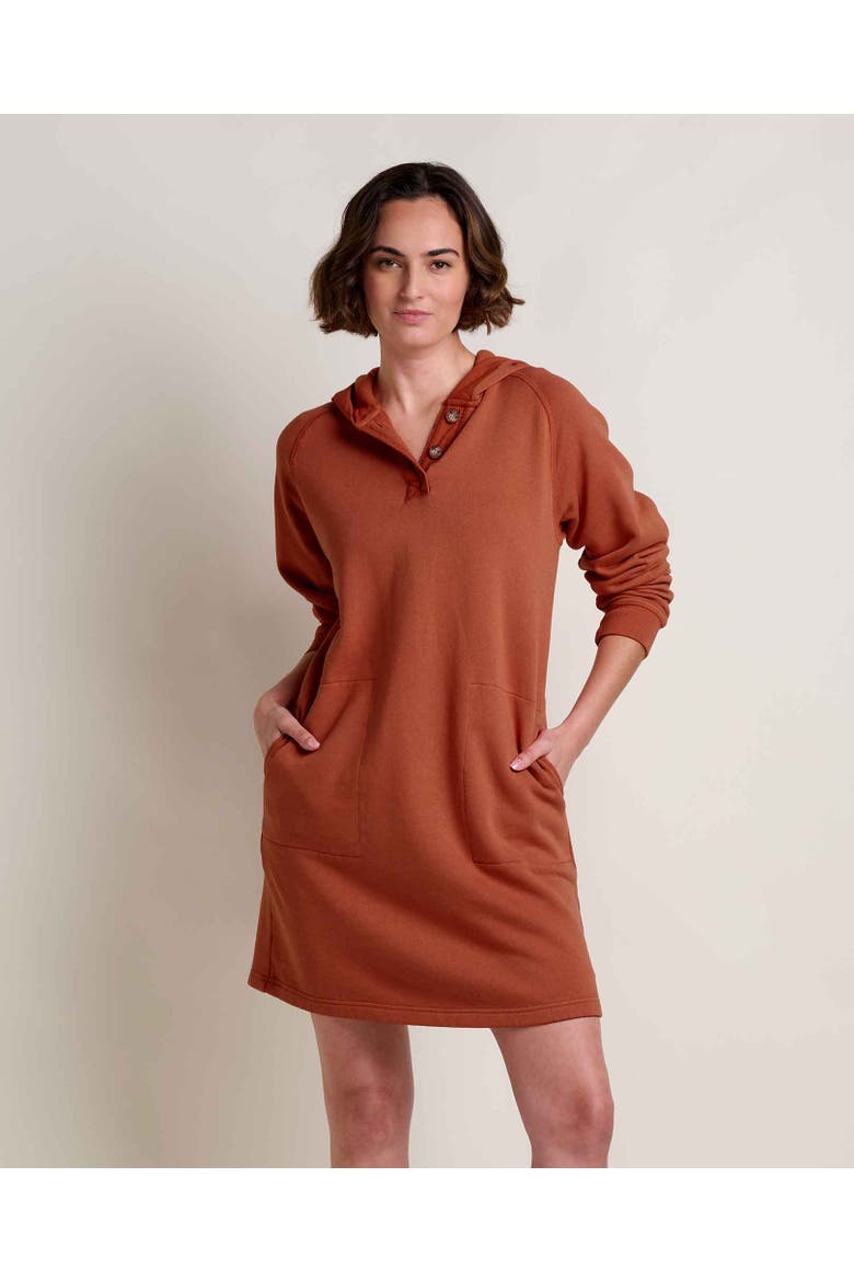 Fernscape Long Sleeve Hooded Dress, Main, color, Dark Roast