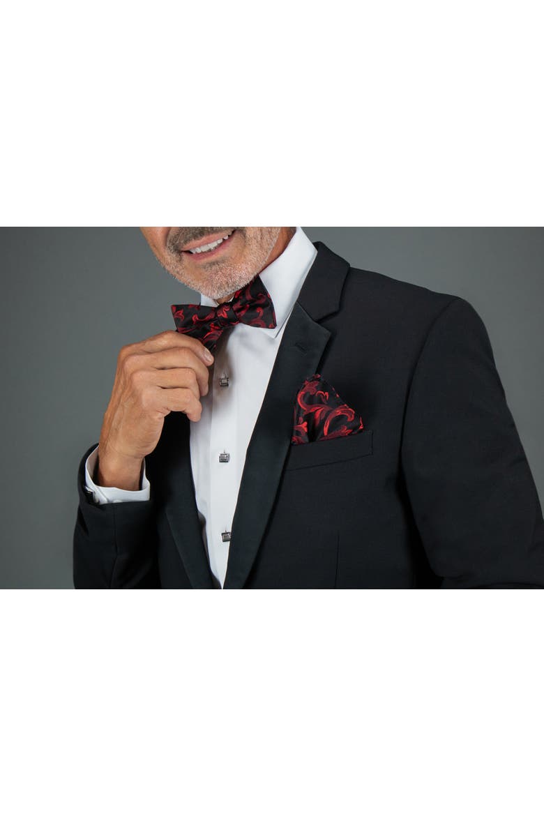Christian the Romantic Brocade Silk Pocket Square, Alternate, color, Red