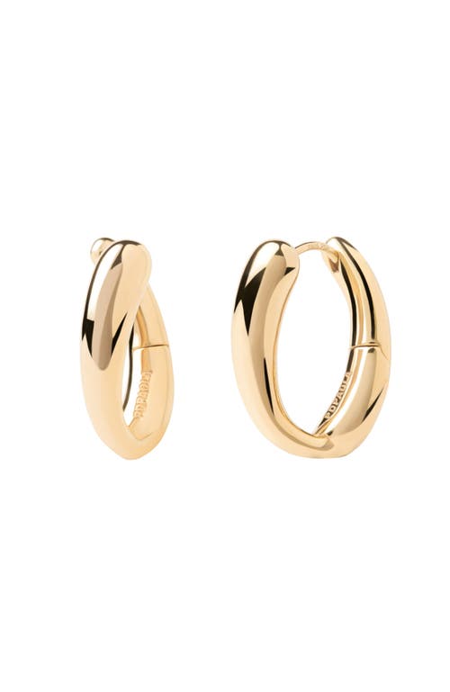 Pdpaola Helix Hoops In Gold