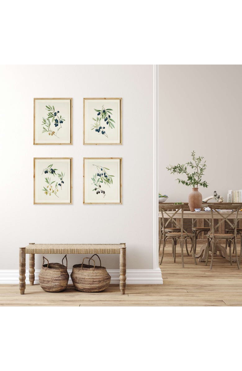 Napa Home & Garden Olive Stems Study Set Of 4, Alternate, color, 