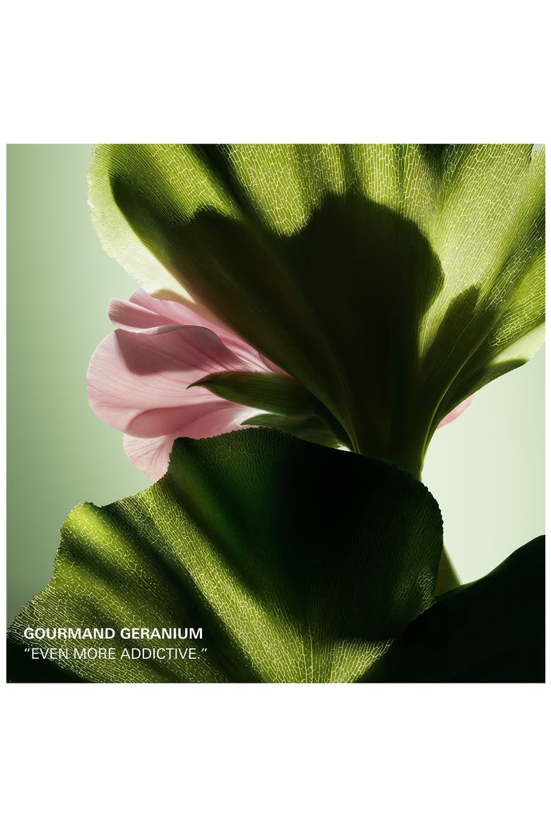 Paradigme Le Parfum, Alternate, color, REGULAR