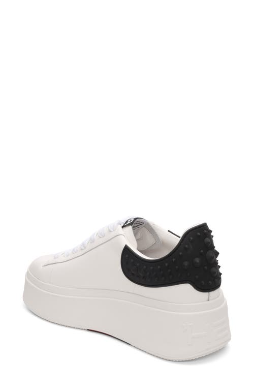 Ash Moby White And Black Sneaker In White/black