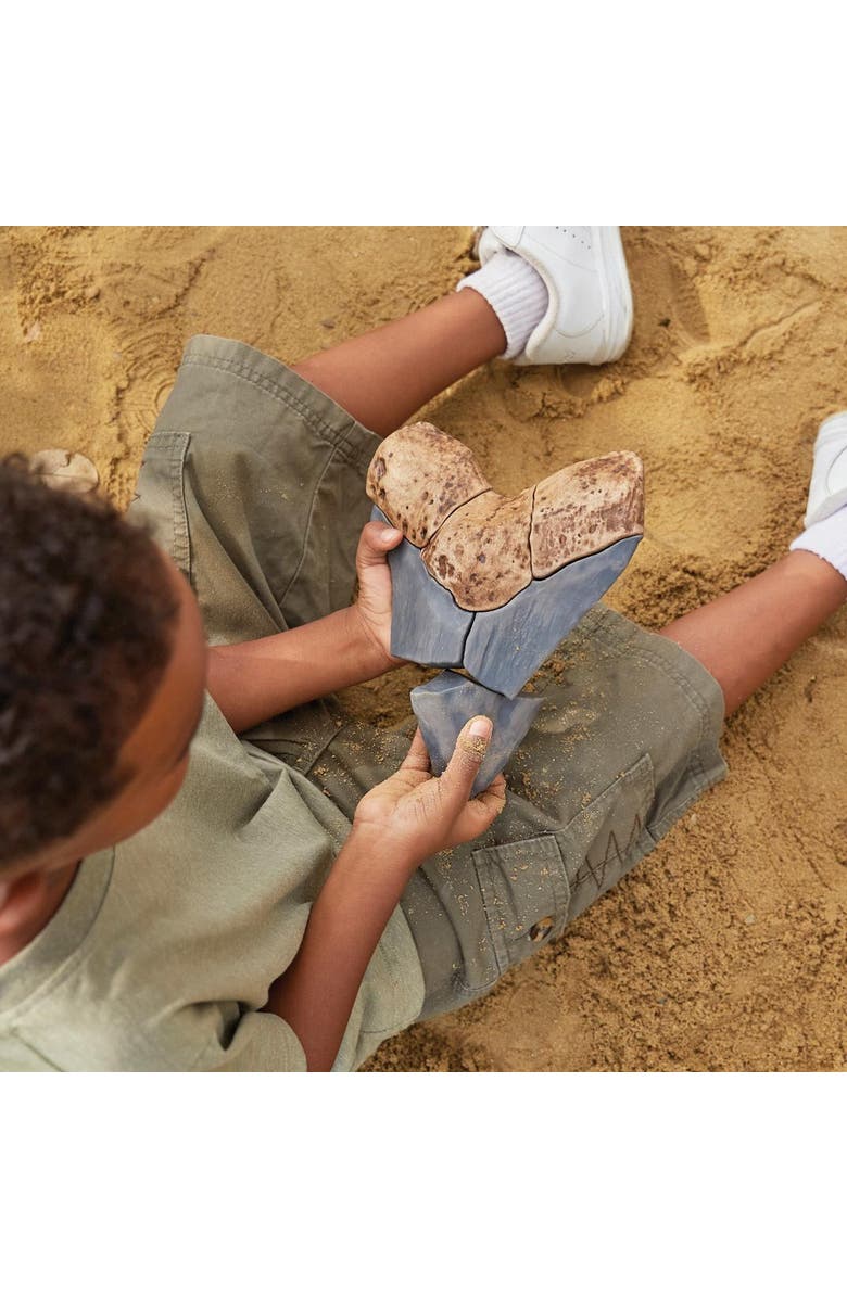 Kaplan Early Learning Company Magnetic Fossil 3D Puzzle - Megalodon Tooth - 6 Pieces, Alternate, color, Brown