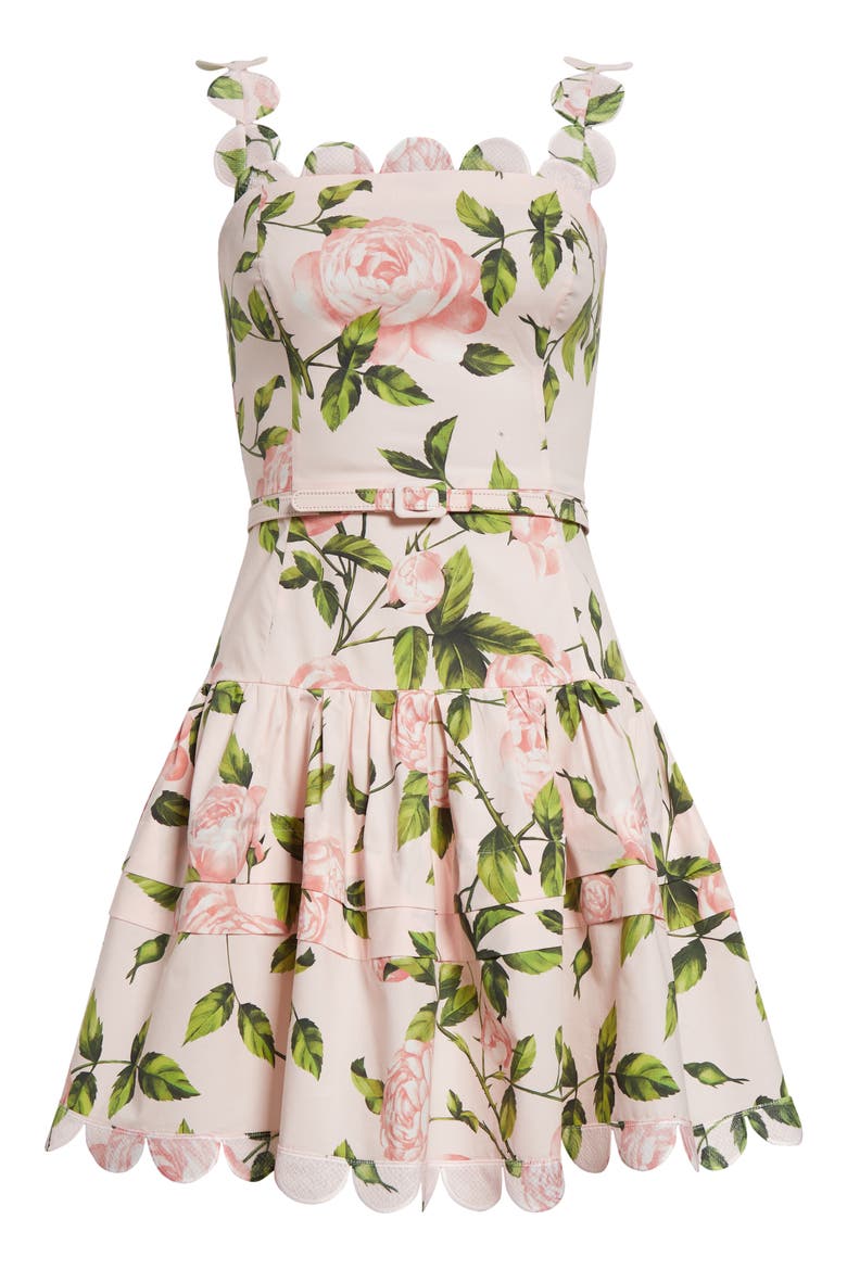 English Rose Print Belted Minidress, Alternate, color, PINK/ BLUSH