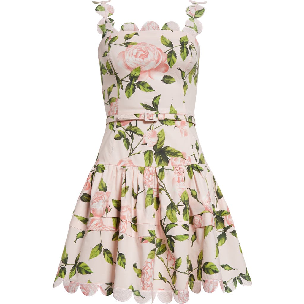 Oscar De La Renta English Rose Cotton Poplin Tiered Dress In Multi